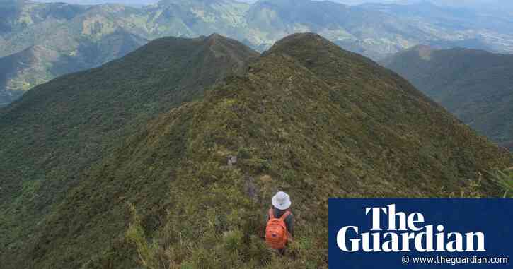 ‘Biologists were not part of the crime food chain’: why Ecuador’s scientists are facing violence, threats and kidnapping