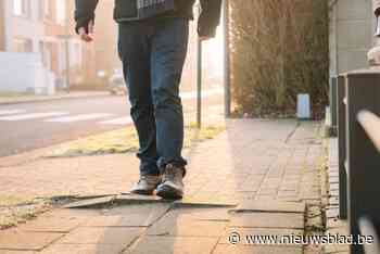 Voetpad Oude Antwerpsebaan wordt vernieuwd: “We kregen heel wat opmerkingen over de slechte staat”