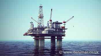 Is this the most brutal death recorded in history? Deep sea divers 'sucked through' tiny hole and 'exploded into pieces'