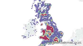 UK's Japanese knotweed hotspots mapped... check to see if YOU live in an infestation zone