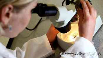 Cancer breakthrough could provide vital new way of identifying deadly disease before it can spread to other vital organs