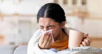 All Brits urged to follow three rules to 'avoid getting sick' during cold and flu season