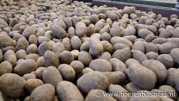 Contouren blijven gelijk in DCA Potato Index