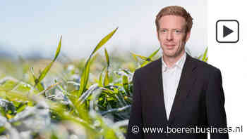 Franse tarwe komt niet ongeschonden uit de winter