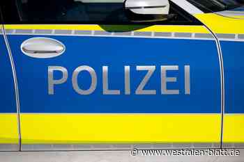 Diebe bauen Scheinwerfer und Katalysator aus Sattelschlepper aus