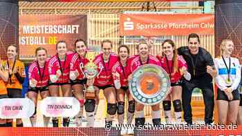 Faustball-DM: Der TSV Dennach holt das Maximum