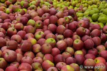 Stickers op fruit zijn composteerbaar, maar beter niet in de compostbak thuis weggooien