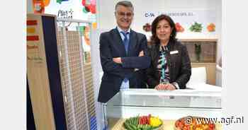 "Goede prijzen compenseren opbrengstdaling Spaanse kasgroenten door virusdruk"