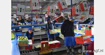 Thailand ontvangt eerste Zuid-Afrikaanse appelen in 16 jaar