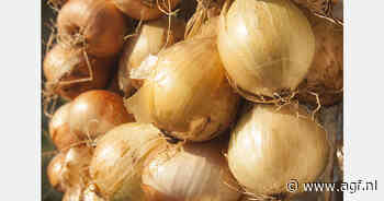 Export van uien en knoflook Kirgizië +39%