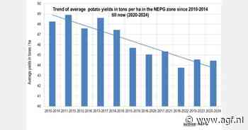 "Stabiele aardappelcontractprijzen"