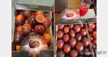 "Onix-sinaasappelen zijn bijna zwart van kleur"