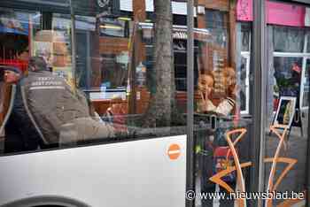 Brussels openbaarvervoernetwerk “onvoldoende toegankelijk” voor personen met handicap