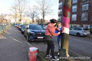 Bewoners De Maretak kleden bomen in Ziekenhuislaan aan met kleurrijke sjaals