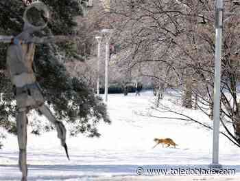 Residents enjoy snow, brace for colder temps