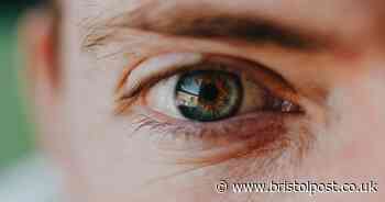 Brain expert urges 'always look in the left eye when talking to someone'