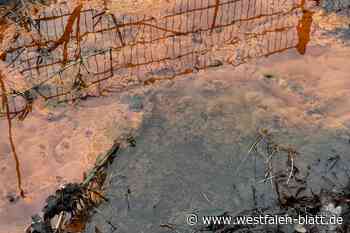 Untersuchung zeigt keine Gefahr für Umwelt