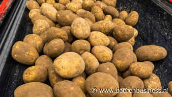 Aardappelprijzen in Rusland bijna verdubbeld