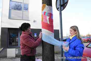 Bewoners woonzorgcentrum kleden bomen  aan met kleurrijke sjaals: “Aandacht vragen voor klimaat”