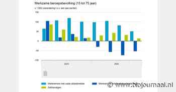 Minder werknemers met flexibel contract in Nederland