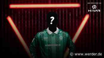 VBL Open by WOW: Club-Wildcard-Turnier präsentiert von HIVAR