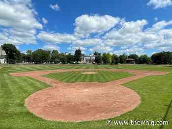 Kingston city council to look at four options for Cricket Field fence