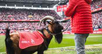 Moeten geit en arend uit Duitse voetbalstadions verdwijnen? ‘Hennes IX hoort bij de club’