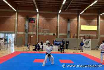 Beste Belgische taekwondoka’s op de mat in sporthal