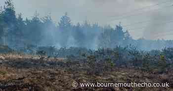 20 firefighters called after blaze breaks out causing 'large amount of smoke'