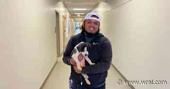 Raleigh Transportation team rescues abandoned puppy found hiding behind toolbox