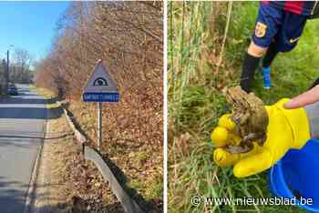 Voorbereidingen amfibieëntrek getroffen, vorig jaar bijna 2.000 dieren overgezet