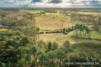 Agentschap Natuur en Bos stelt groot herstelproject op voor Korteduinen: “We gaan 1,25 hectare aanpakken”