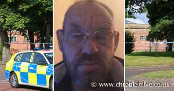 Gateshead park murder accused said he clashed with alleged victim after asking if he was a 'nonce'