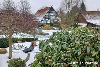 Stemwede muss die Friedhofsgebühren erhöhen