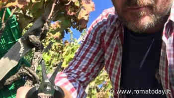 Vite, Vento e Vulcano: un viaggio nei vini di Grottafumata