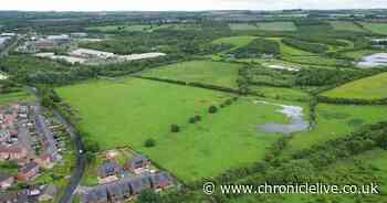 Fundraising ensures the future of County Durham wildlife reserve