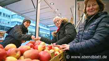 Frischer Wind auf Harburgs Wochenmarkt: So tickt die neue Chefin