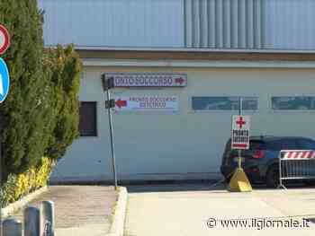 Bimba sbranata dal pitbull, il papà indagato per omicidio colposo