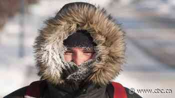 Brace for 'bitter cold' Environment Canada says, as Hamilton digs out from significant snowfall