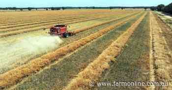 Cropping and livestock options with Rutherglen district farm up for sale