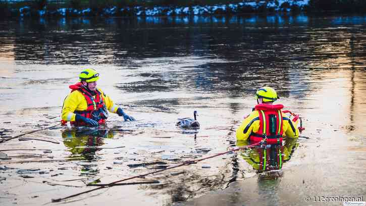 Brandweer bevrijdt vastzittende eend uit het ijs in Appingedam