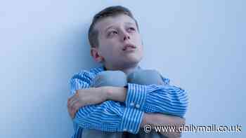 Chinese scientists identify food ingredient they say could reverse some autism symptoms