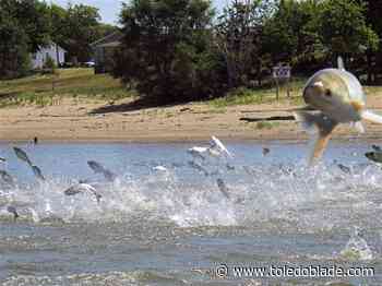 Lake Erie, other Great Lakes could be hurt by federal cuts and hiring freezes