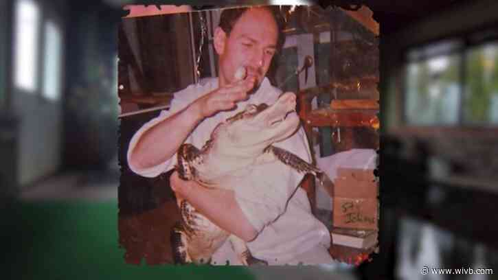 Albert the alligator could be coming home to Hamburg in 30 days