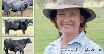 Select for muscle and end up with beef