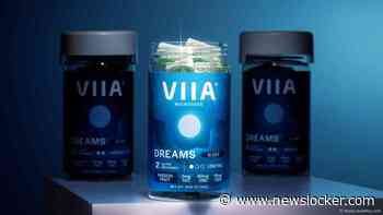 VIIA DREAMS: Sleep Deeper, Wake Stronger