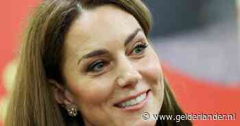 Prinses Catherine en kinderen delen zelfgemaakte portretten