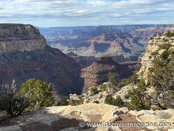 How Deep Time Can Help You Handle Modern Times