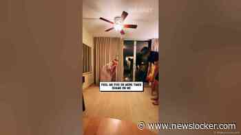 Couple Plays Blindfold Game On Honeymoon