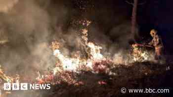 Firefighters tackle wildfire on heathland